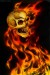 skull-fire-danger-yellow.jpg